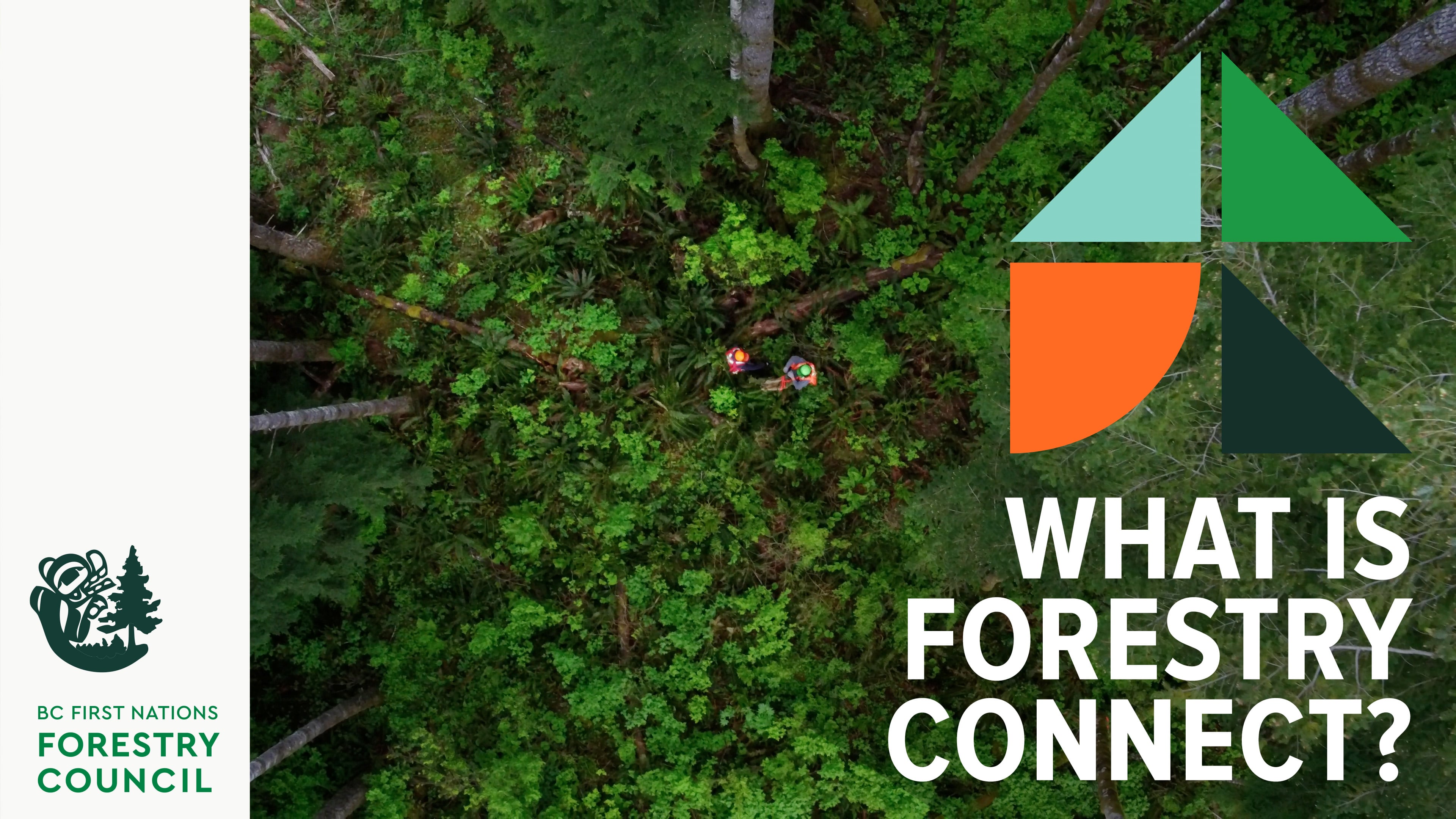 What is ForestryConnect?