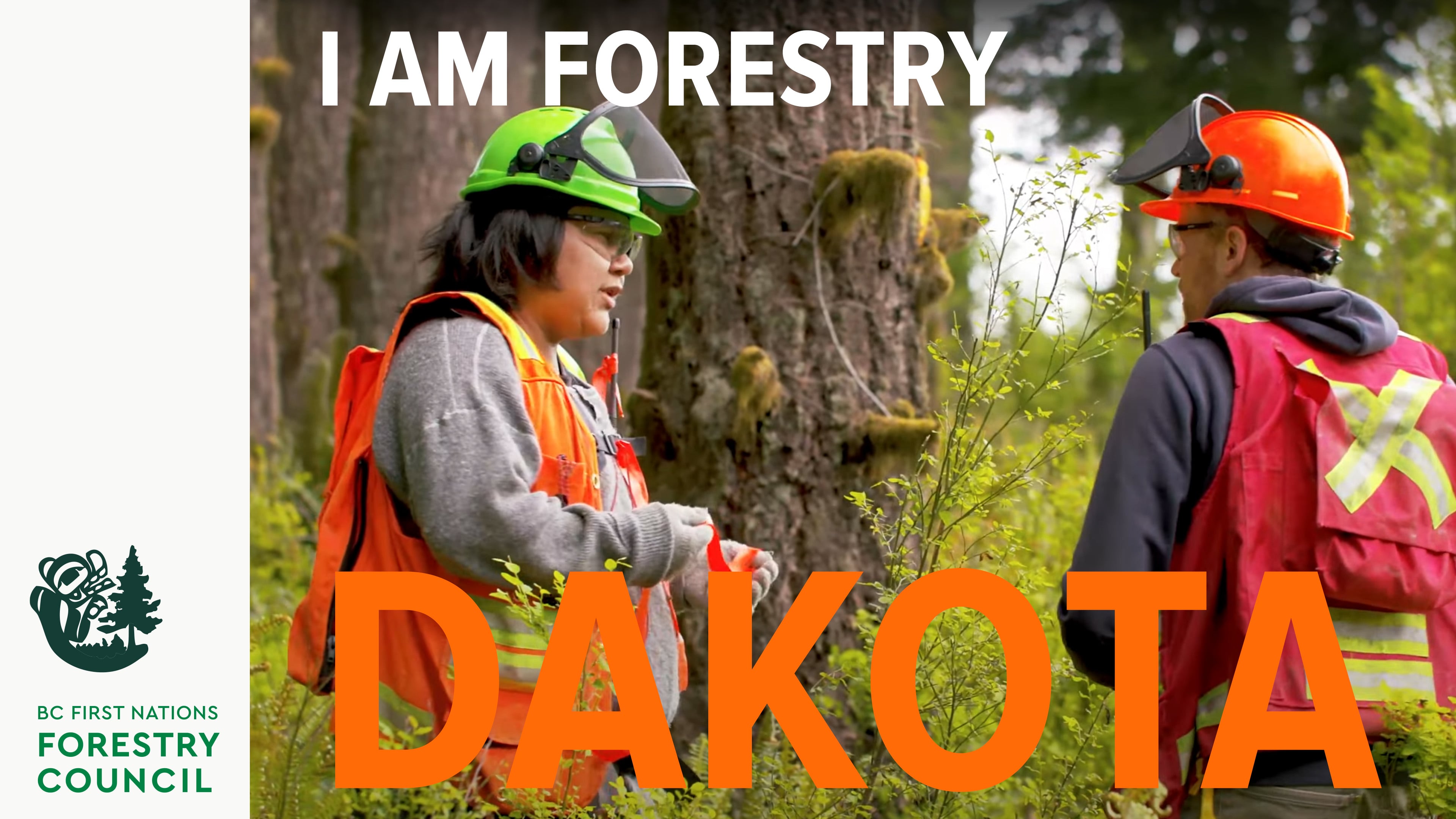 I Am Forestry | Dakota