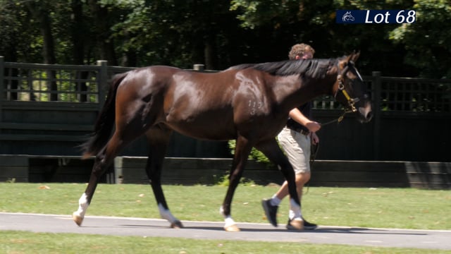 Lot 68