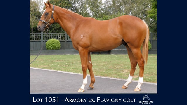 Lot 1051
