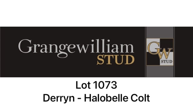 Lot 1073