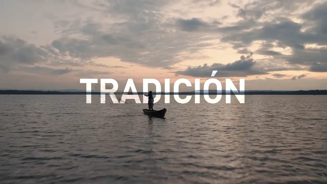 https://i.vimeocdn.com/video/1972513944-0f996dfe4232f091ff9f57e16184b0b4dfa54849befd6908b370e28bd322bbc8-d