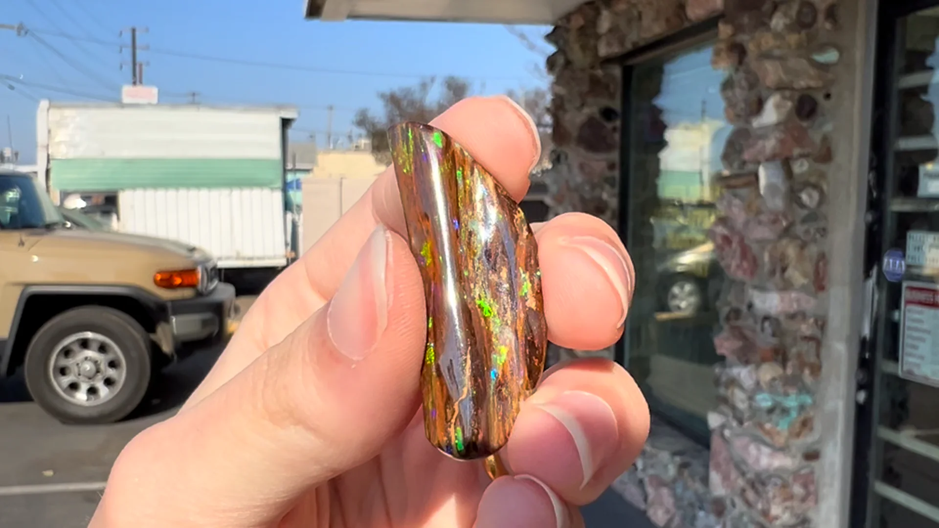 24.45ct Polished Duck Creek Opalized Wood Specimen | Burton's