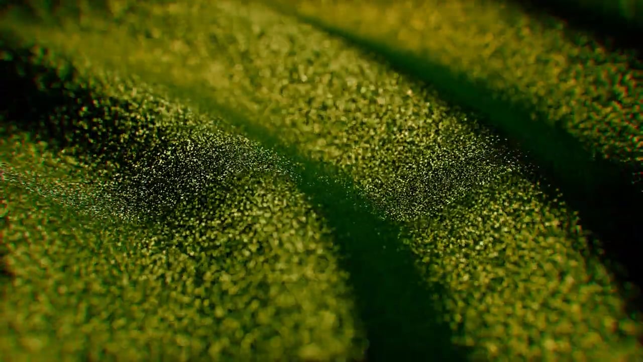 https://i.vimeocdn.com/video/1972544692-4e79d689c53f846c0390a9be7819842cf816e44807a6025cf3ef76876ab98e96-d