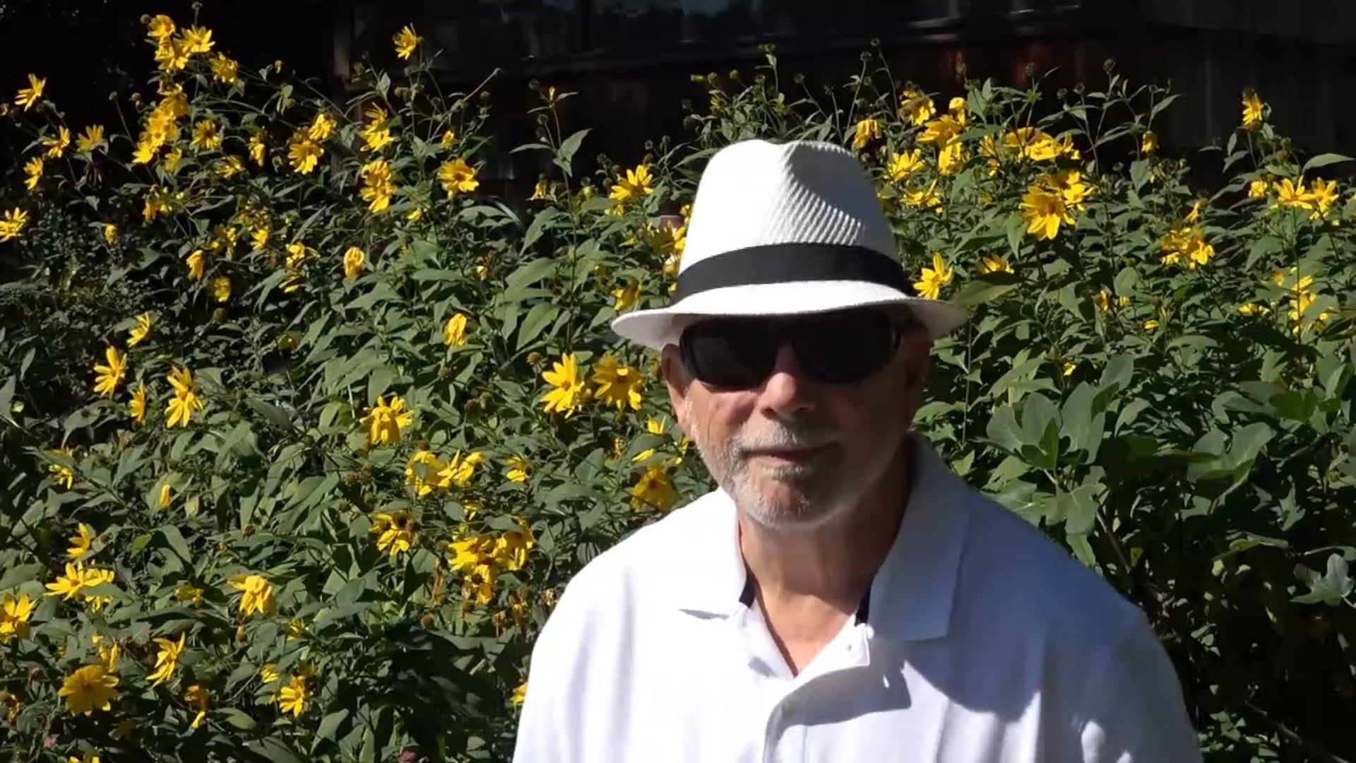Promotional video thumbnail 6 for Dave Anthony