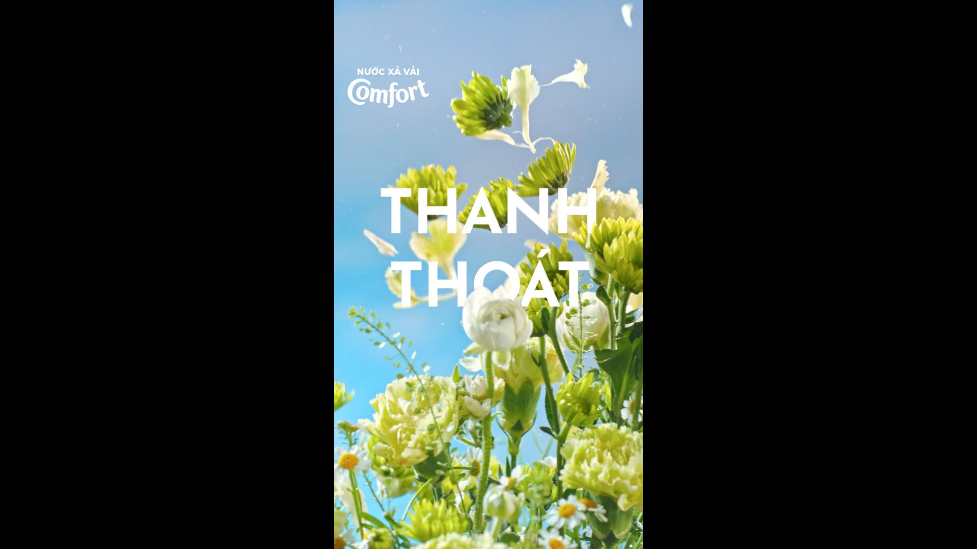 COMFORT HƯƠNG GIÓ XUÂN - TIK TOK