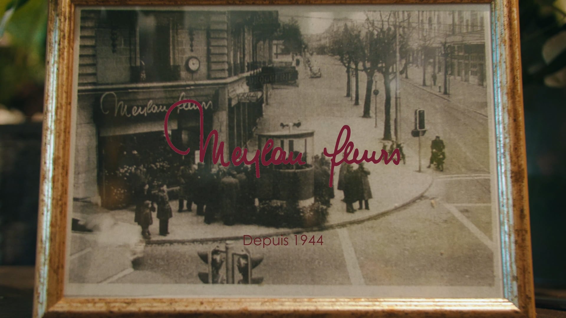 MEYLAN FLEURS - Fleuriste depuis 1944