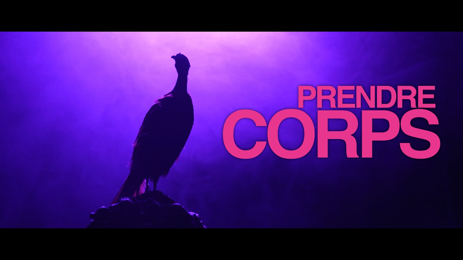 PRENDRE CORPS l Cie Mordre Ta Joue