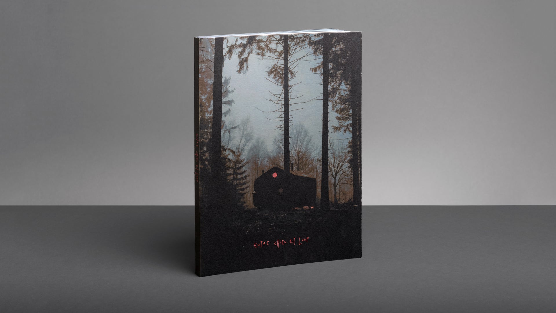 Entre Chien et Loup カレル・フォンティーヌ 写真集 Fotoboek Entre Chien et Loup door Erwin Jonker