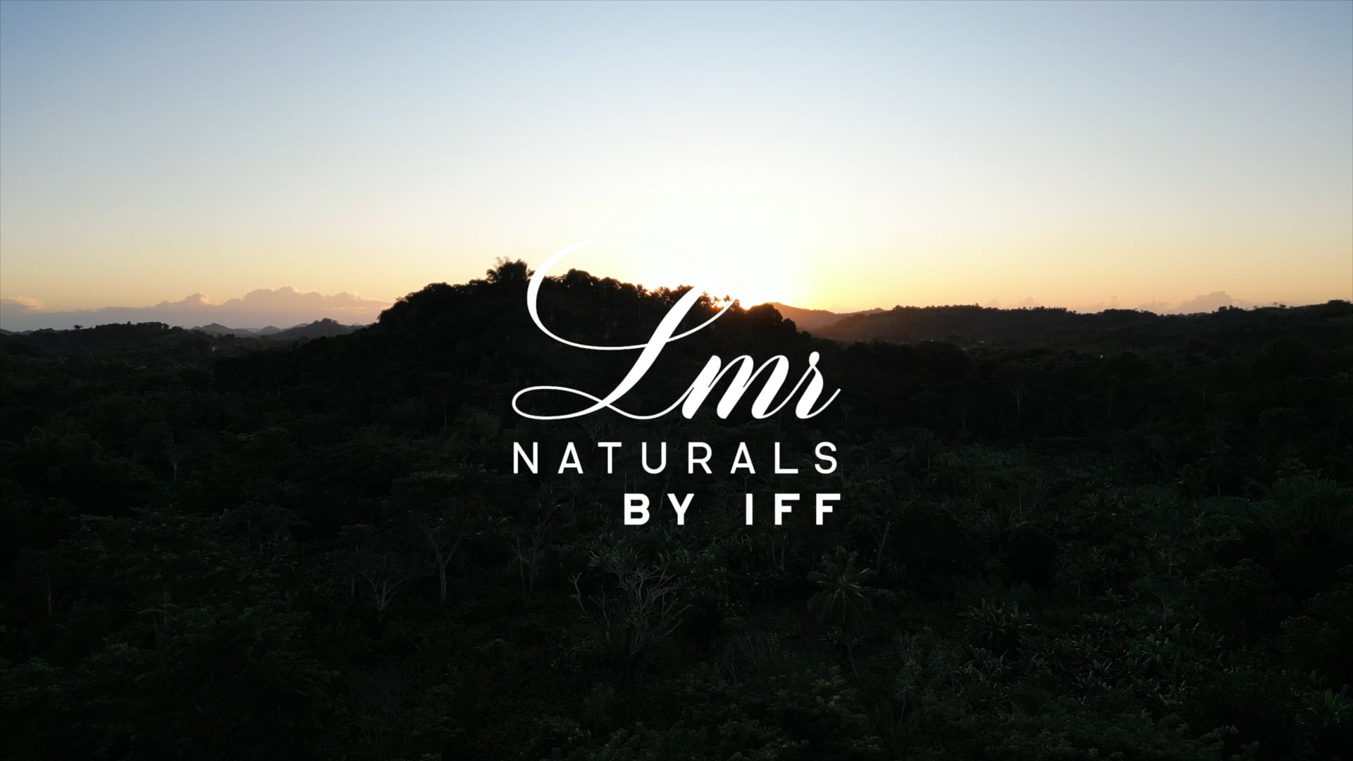 Production de vanille à Madagascar pour l'IFF