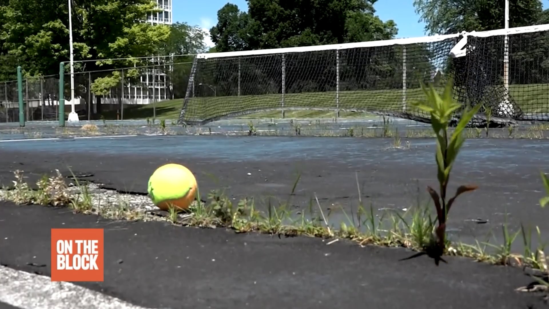 Prairie Tennis Club