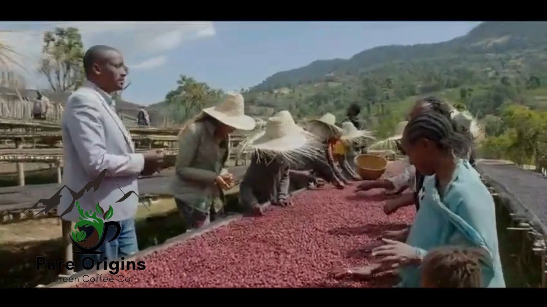 Pure Origins Green Coffee co.