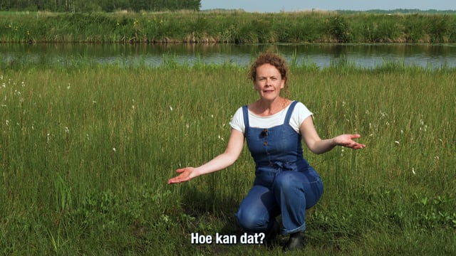Een reis door de tijd