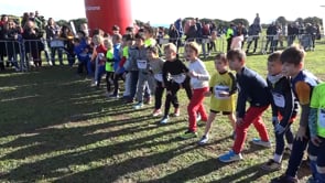 El circuit comarcal de cros infantil ha acabat a l'Escala amb més de 200 participants