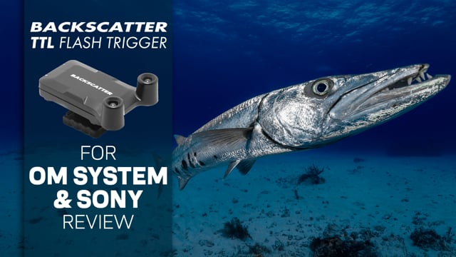 Backscatter TTL Flash Trigger Review