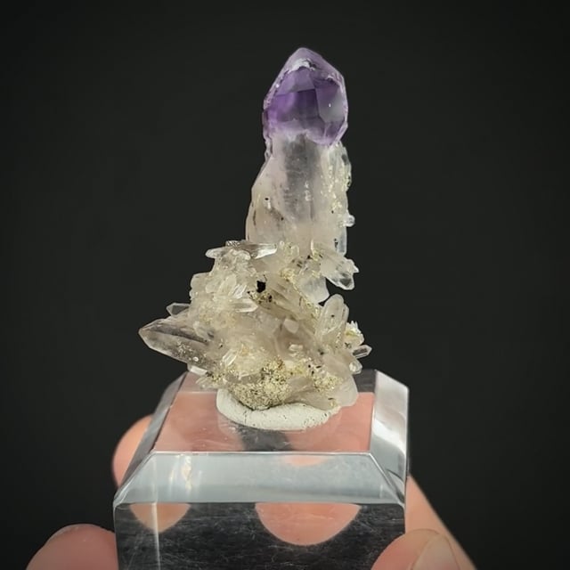 Quartz var. Amethyst (scepter)