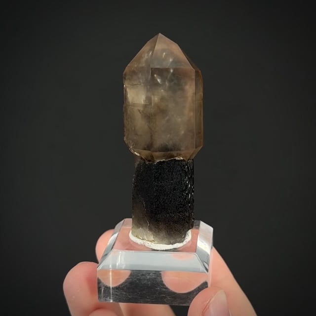 Quartz var. Smoky (scepter)