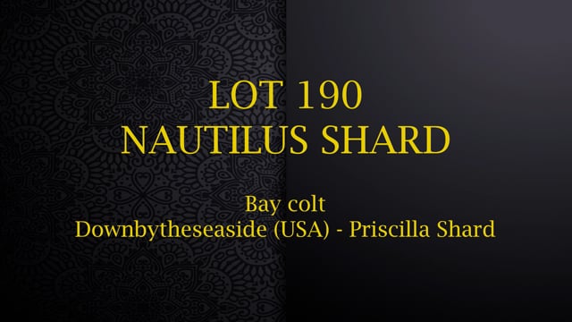 Lot 190