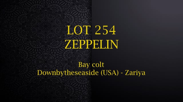Lot 254