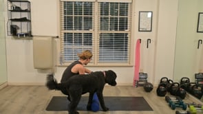 Linay's Workout II