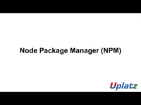 Node Package Manager (NPM)