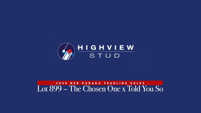 Lot 899