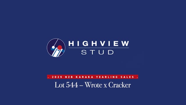 Lot 544