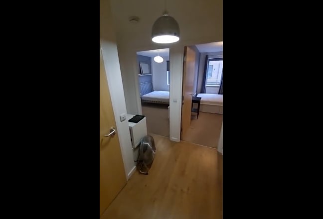 Video 1: