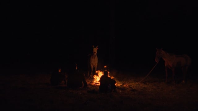 A thumbnail for the film 'Tarta Relena - El Suicidi I El Cant' by  alvar riu dolz