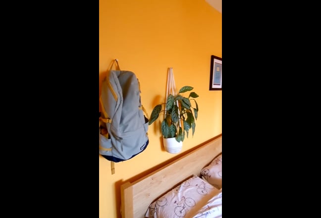 Video 1: