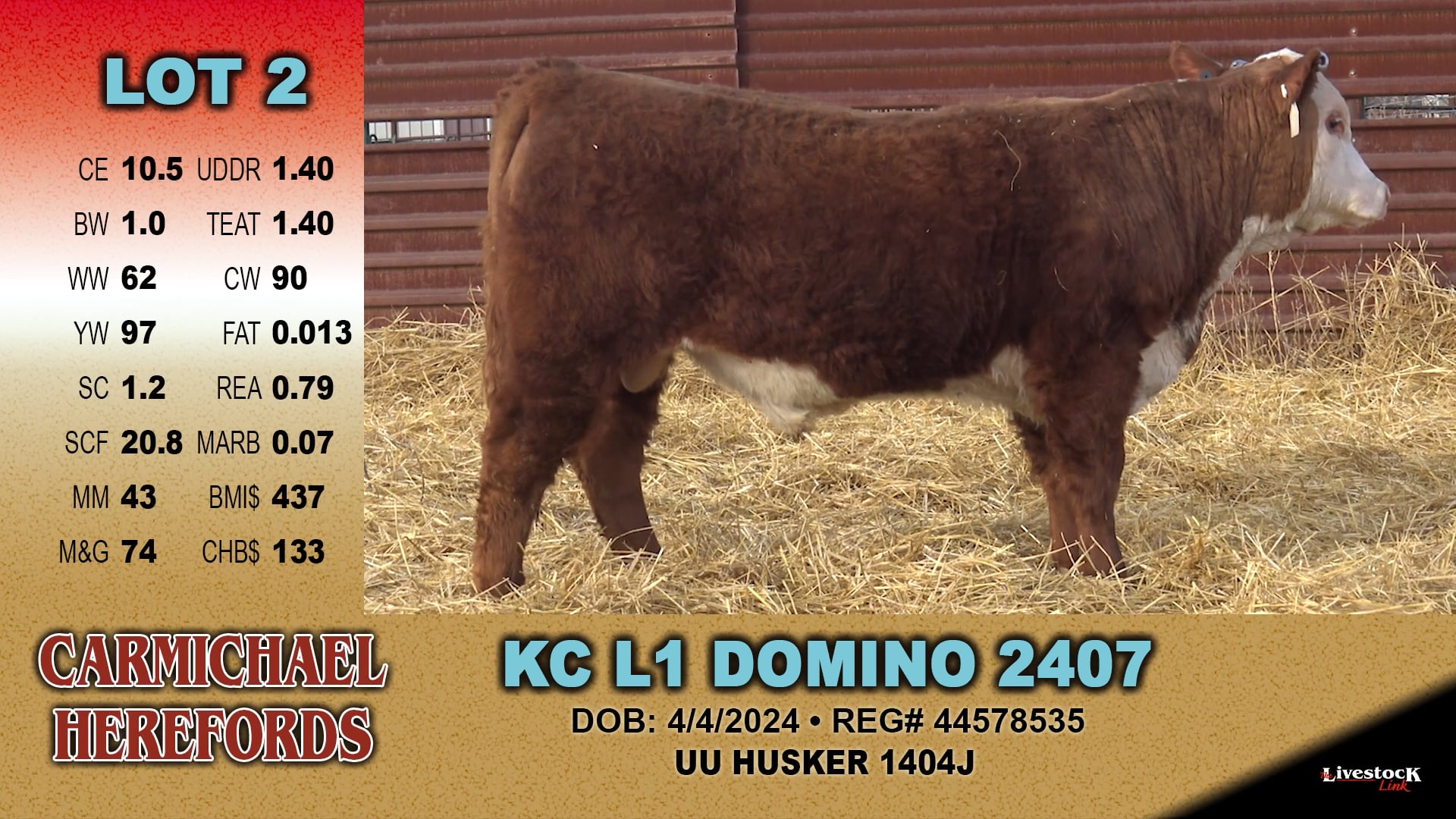 Carmichael Herefords - Lot 2