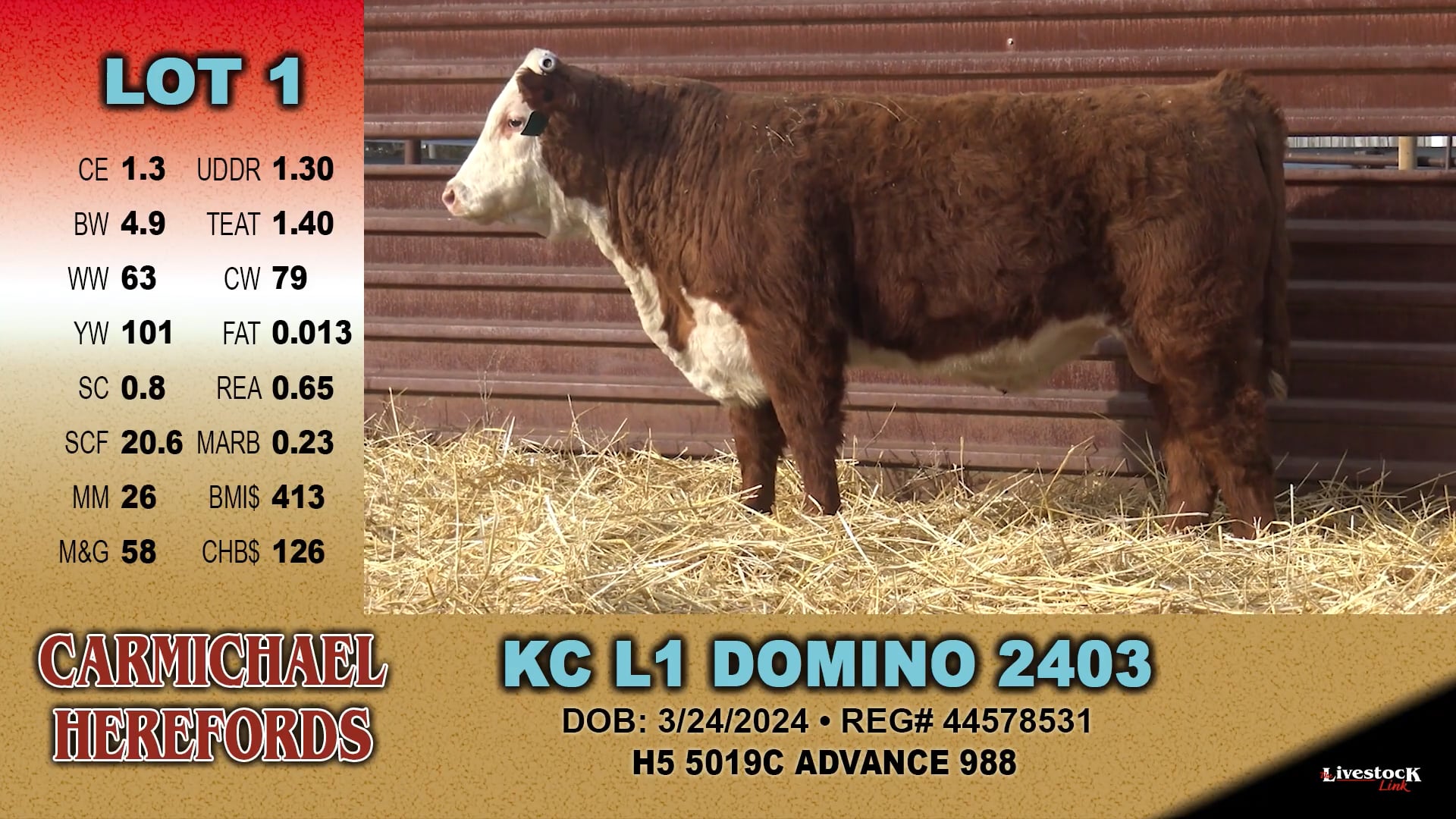 Carmichael Herefords - Lot 1