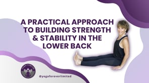 A Practical Approach to Building Strength & Stability in the Lower Back