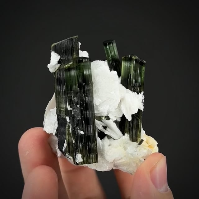 Tourmaline, Albite & Muscovite (New Find)