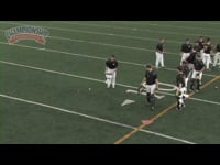 Preview Video #1