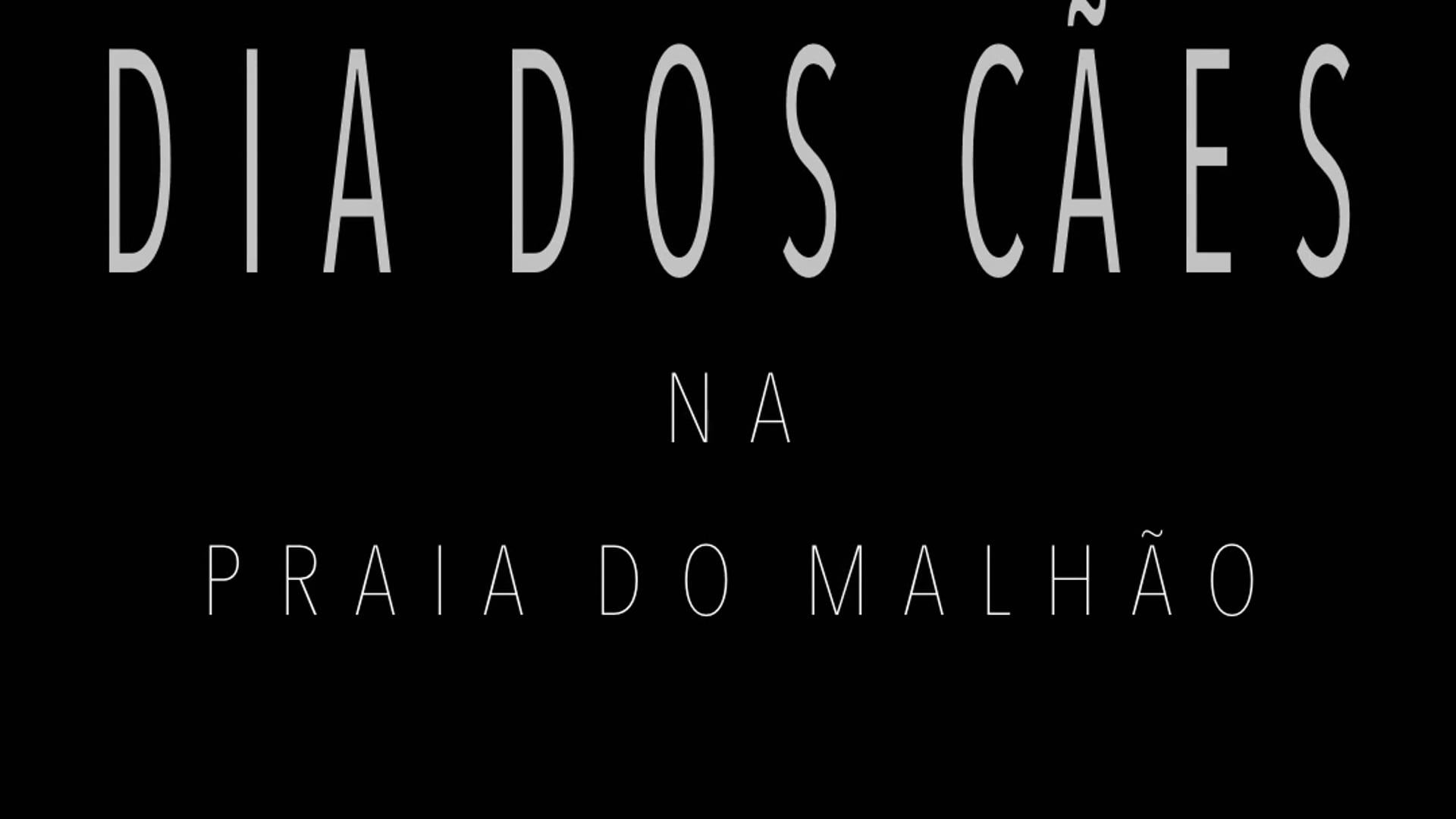 Praia do Malhāo - A walk with the dogs