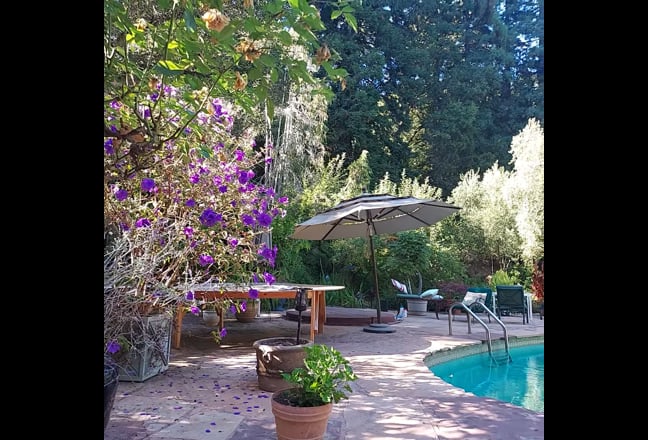 Lowered Price: Private Wing in Redwood Preserve Main Photo