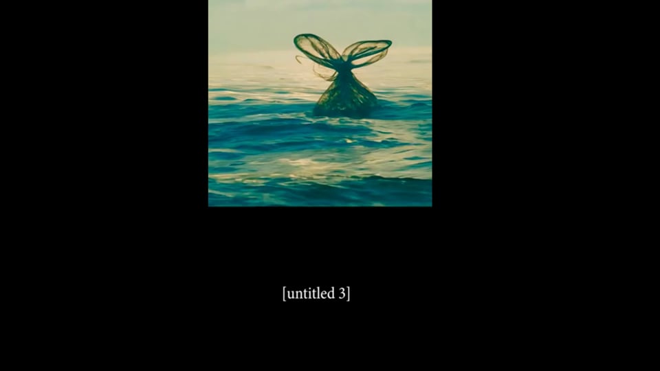 Photo from [untitled 3]