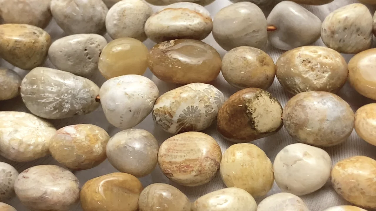 B】珊瑚の化石 フォッシルコーラルのペアシェイプピアス COCO