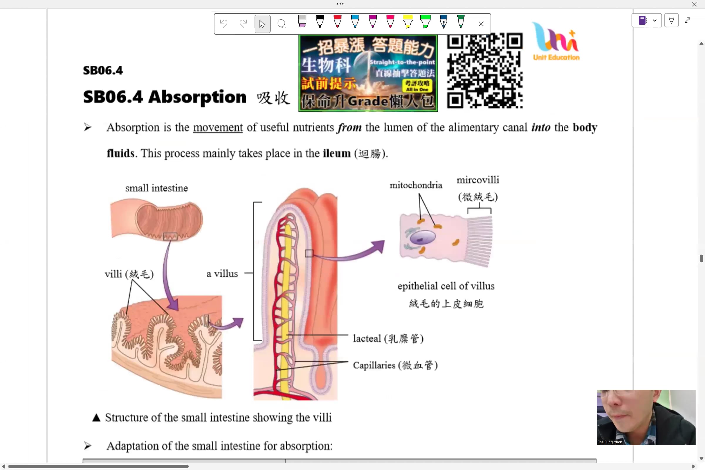 Nutrition part III (Absorption in villi) | Videos & Movies on Vimeo