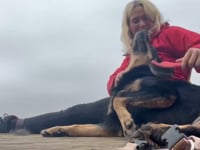 Betsie Video
