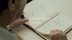 GINGER: ITS ORIGINS AND DESIGN