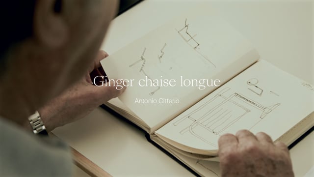 GINGER: ITS ORIGINS AND DESIGN