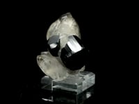 Black Tourmaline in Smoky Quartz – 135g