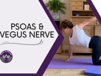 PSOAS & Vegus Nerve