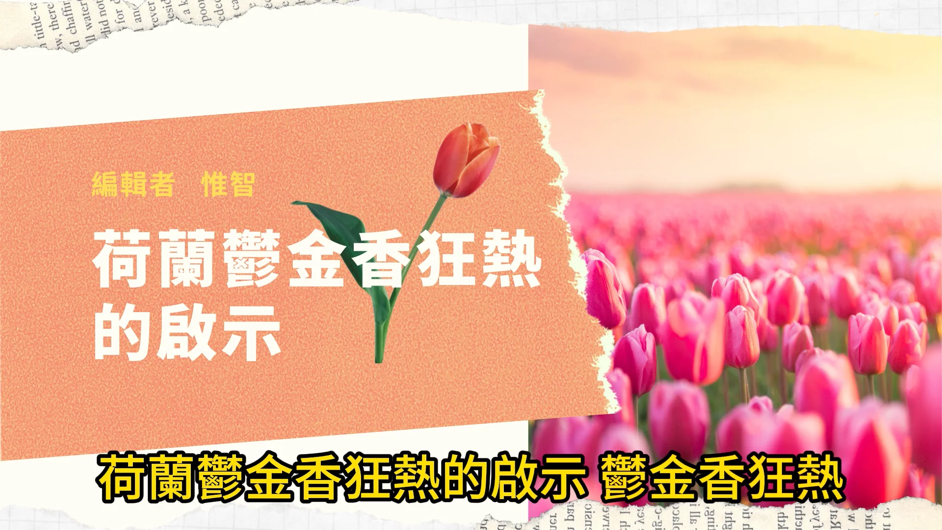 荷蘭鬱金香狂熱的啟示