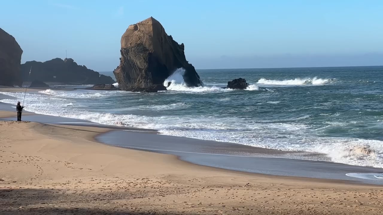 https://i.vimeocdn.com/video/1974489067-4dd9b25caa229e53fa79024a990130d438e49202098d692e67e66459ec72a78b-d
