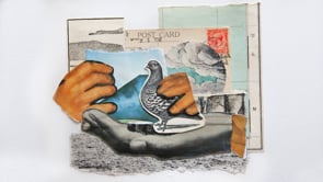 Withy Lore- Sue's story 'It’s about feel'