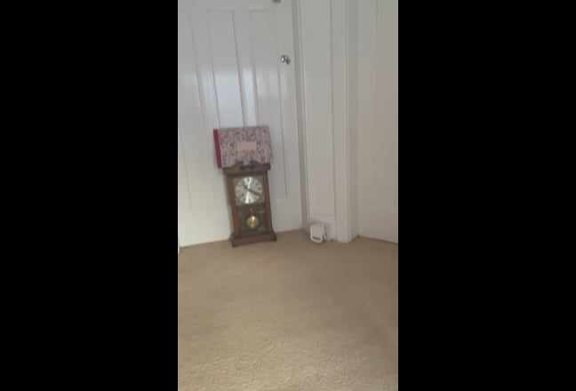 Video 1: