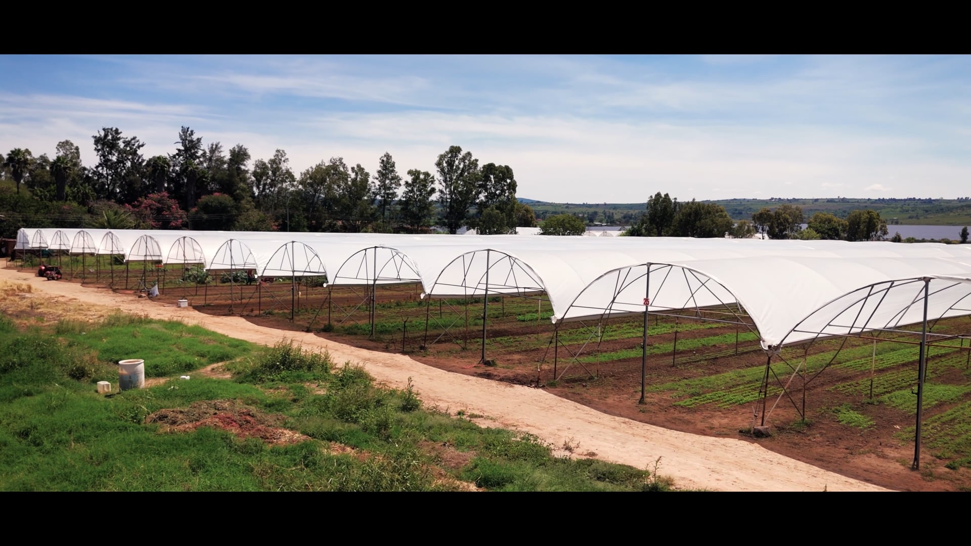 ITESO Epazote Documental Acatic